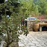 Horizon Nest Parnassos Chalet! *