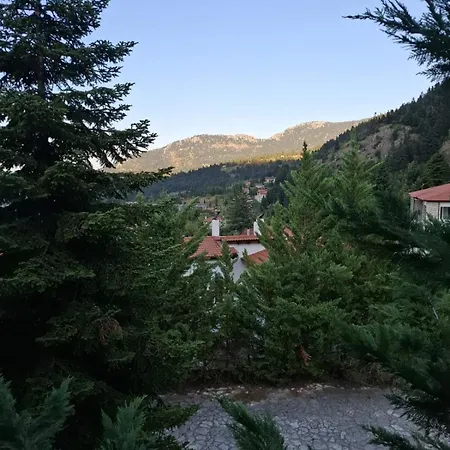 Horizon Nest Parnassos Chalet! شاليه