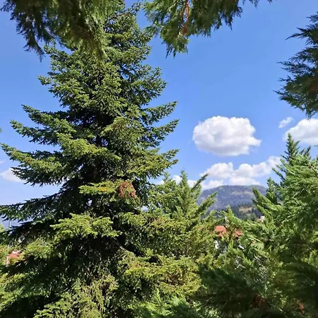 Horizon Nest Parnassos Chalet! Eptálofos