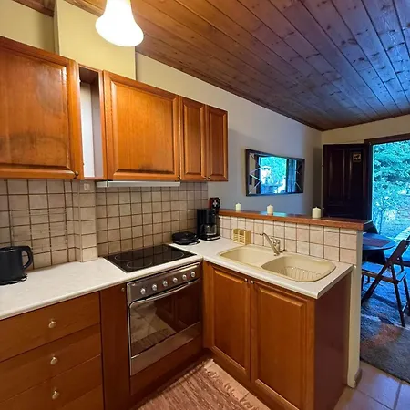 Horizon Nest Parnassos Chalet! Dağ evi Eptálofos
