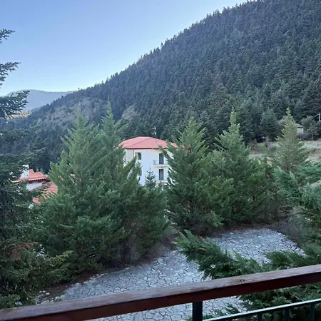Horizon Nest Parnassos Chalet! Dağ evi